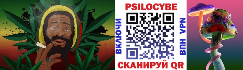 Псилоцибиновые грибы Psilocybe  наркота  Ишимбай 